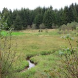 1109F 158 Die junge Eder